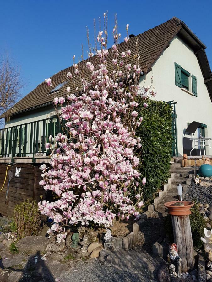 Le Nid Fleuri De Cravanche 외부 사진